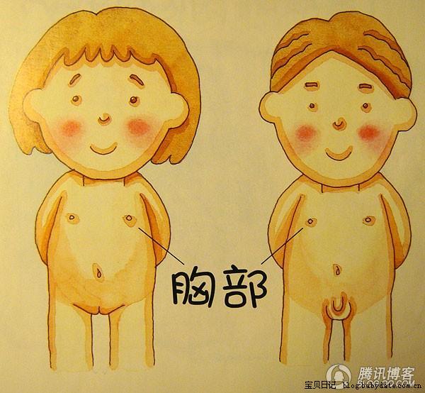 人体博物馆 (10),绘本,绘本故事,绘本阅读,故事书,童书,图画书,课外阅读